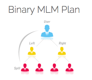 can i make money network marketing - binary plan