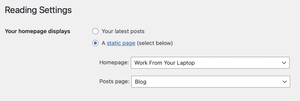 static page option in wordpress settings