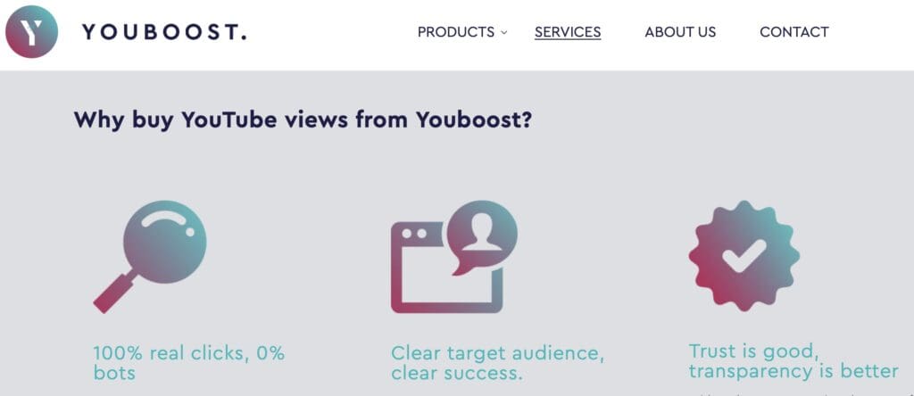 YouBoost review services